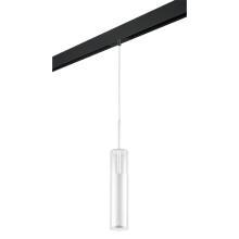 PRO756016 Светильник д - 1-фазн трека CILINO 1х40W GU10 МАТОВЫЙ БЕЛЫЙ - ЧЕРНЫЙ  756016 - 595007 купить в Алматы svet.kz