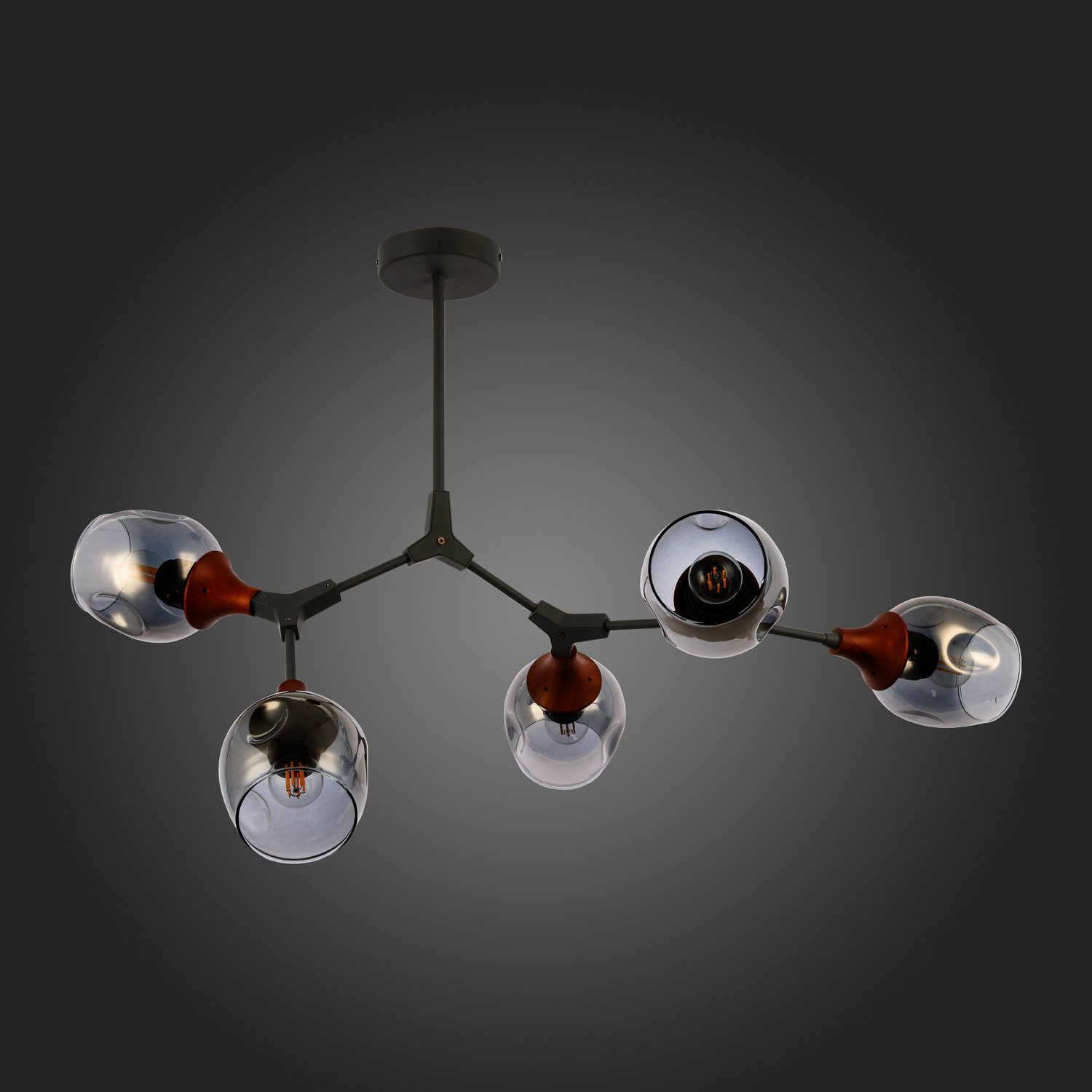 Дополнительная картинка Потолочная люстра Evoluce Ciotolla SLE113402-05