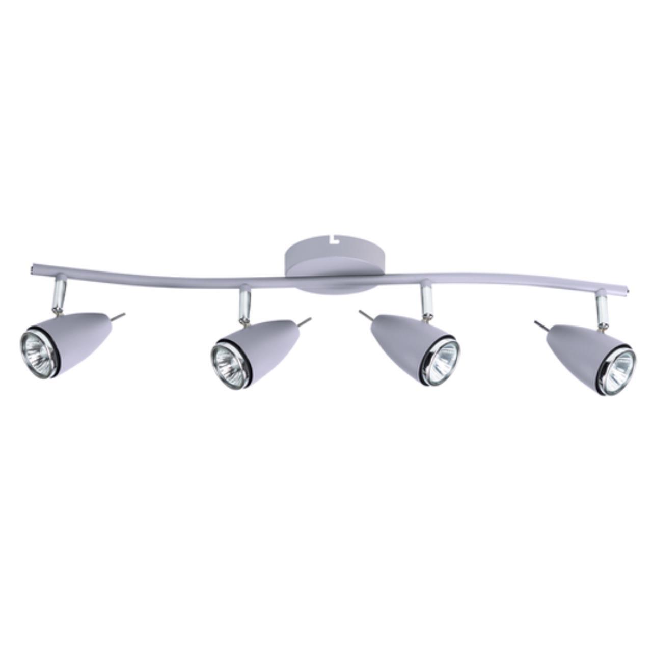 Дополнительная картинка Настенно-потолочный светильник Arte Lamp Regista A1966PL-4GY