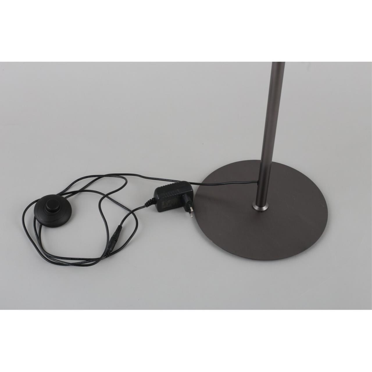 Картинка APL.060.05.18 Торшер Aployt Krysia