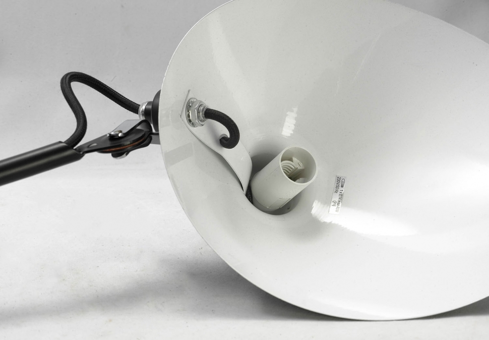 Картинка Спот Lussole Loft LSP-9563