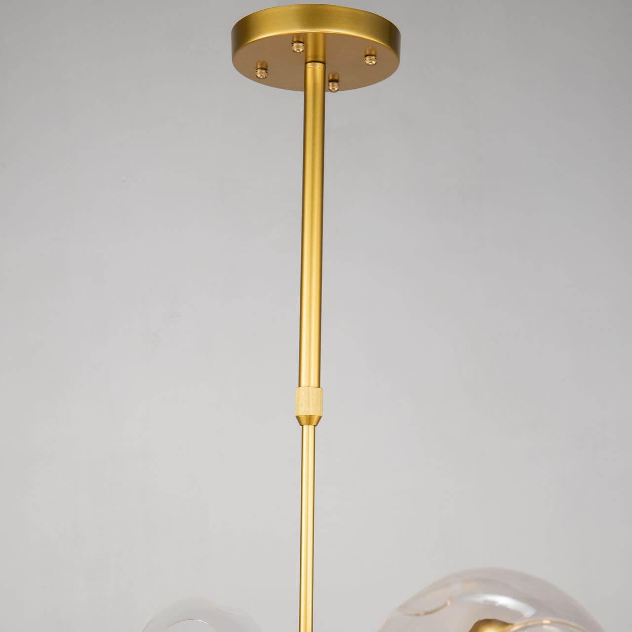 Картинка Подвесная люстра Favourite Recens 2625-16P