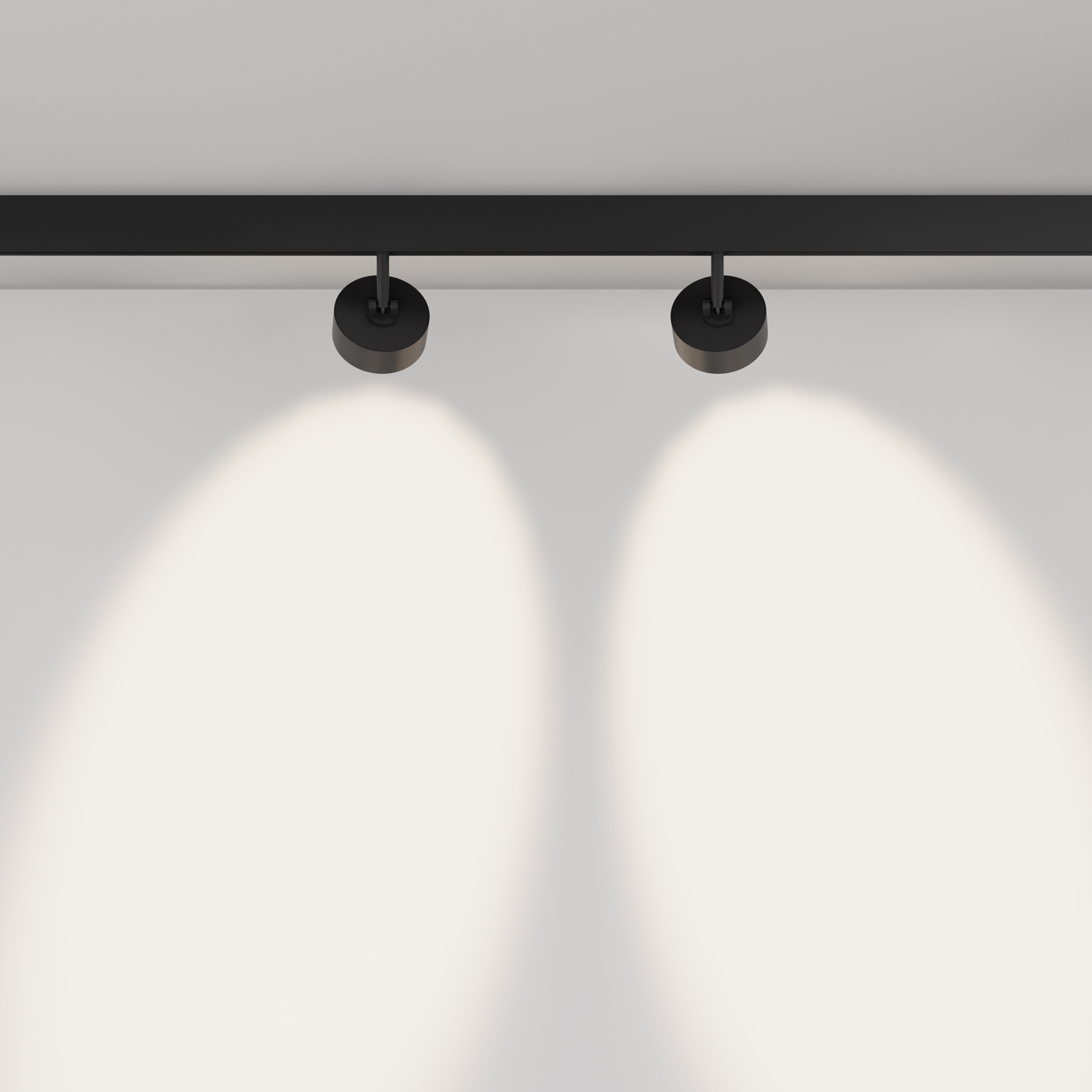 Дополнительная картинка Трековый светильник Technical TR217-2-15W4K-B