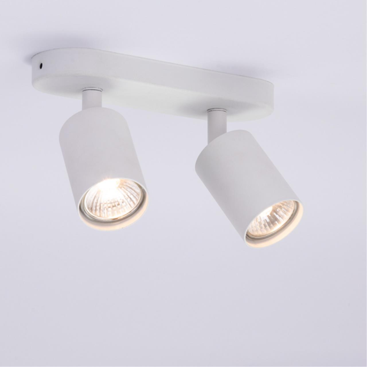 Дополнительная картинка Потолочный светильник Arte Lamp AQUARIUS A3226PL-2WH