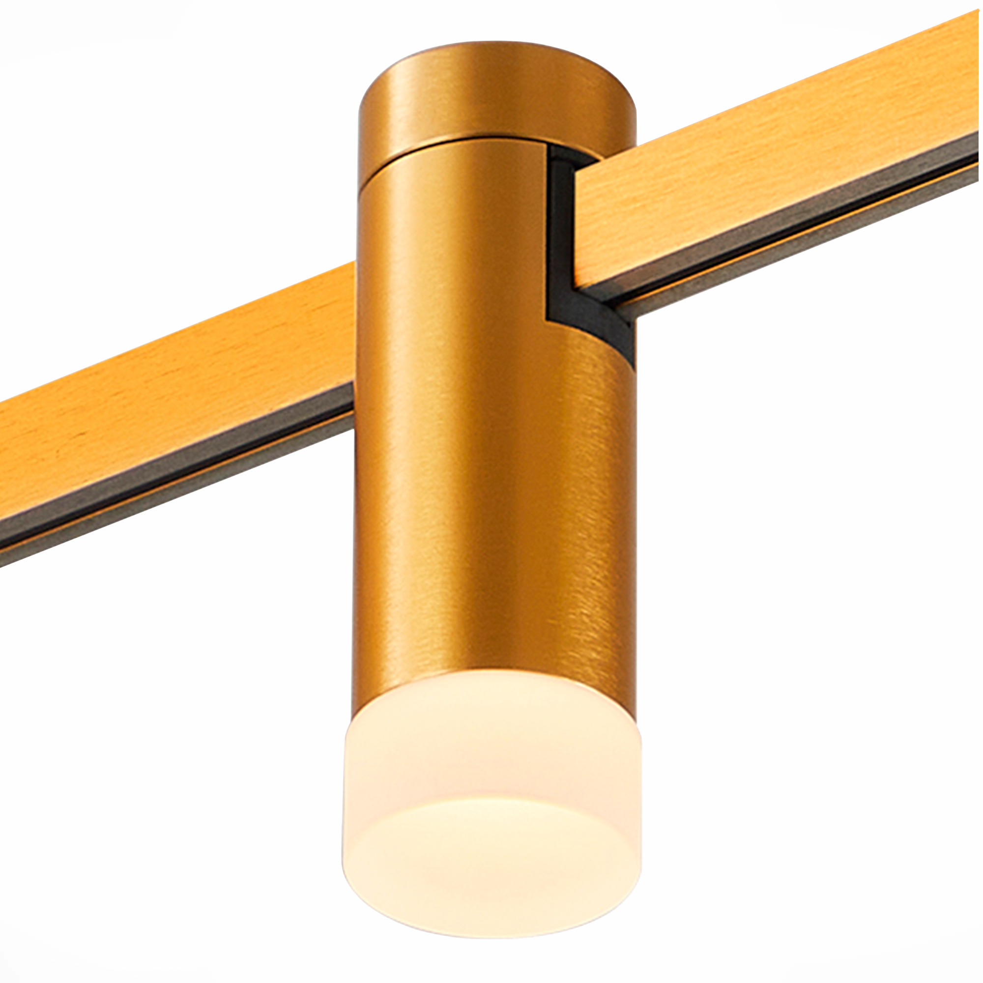 ST812.206.03 Магнитный трековый светильник FARM купить в Алматы svet.kz