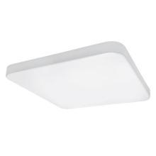 Потолочные Накладной светодиодный светильник Lightstar Arco 226264, доставка по Казахстану 