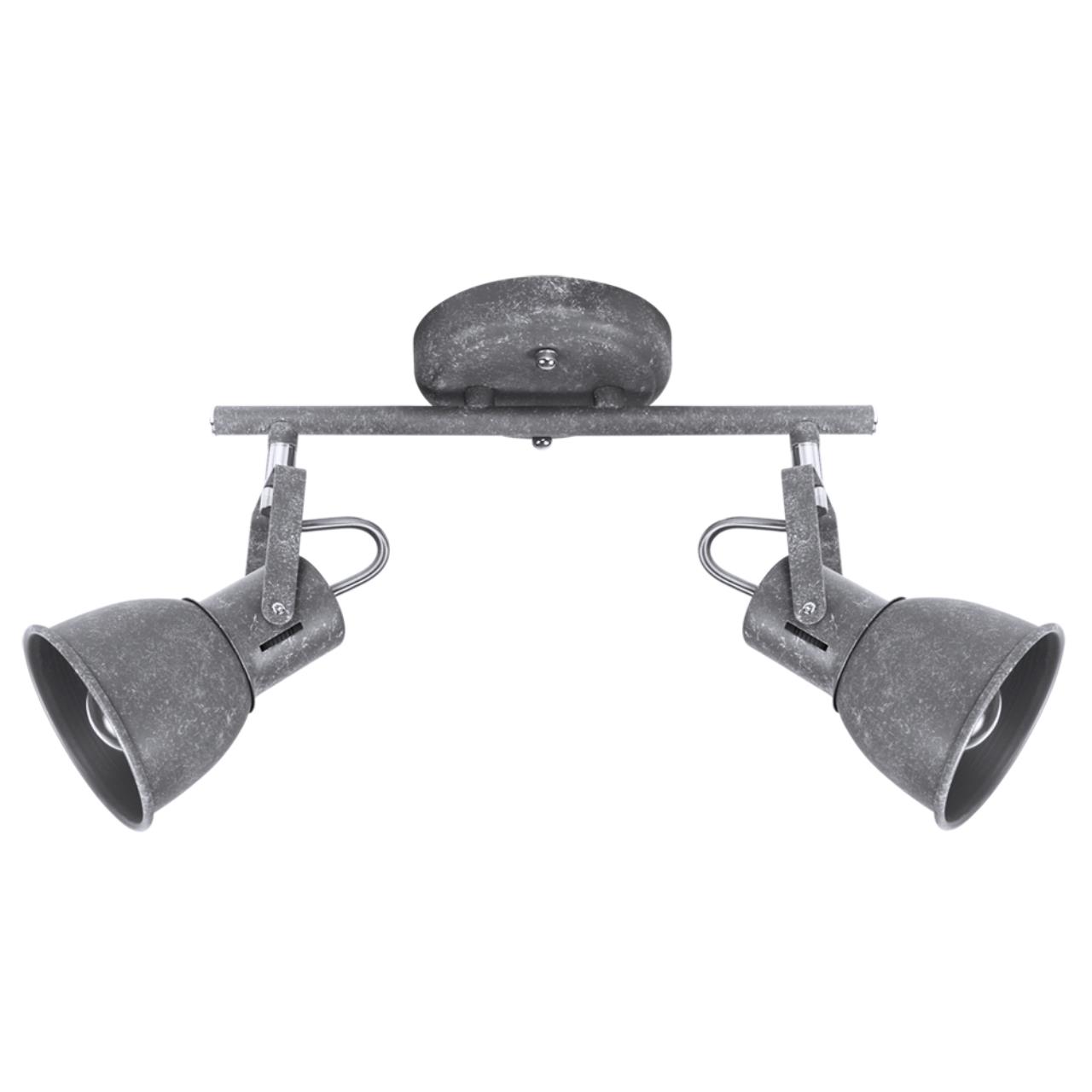 Картинка Спот Arte Lamp A1677PL-2GY