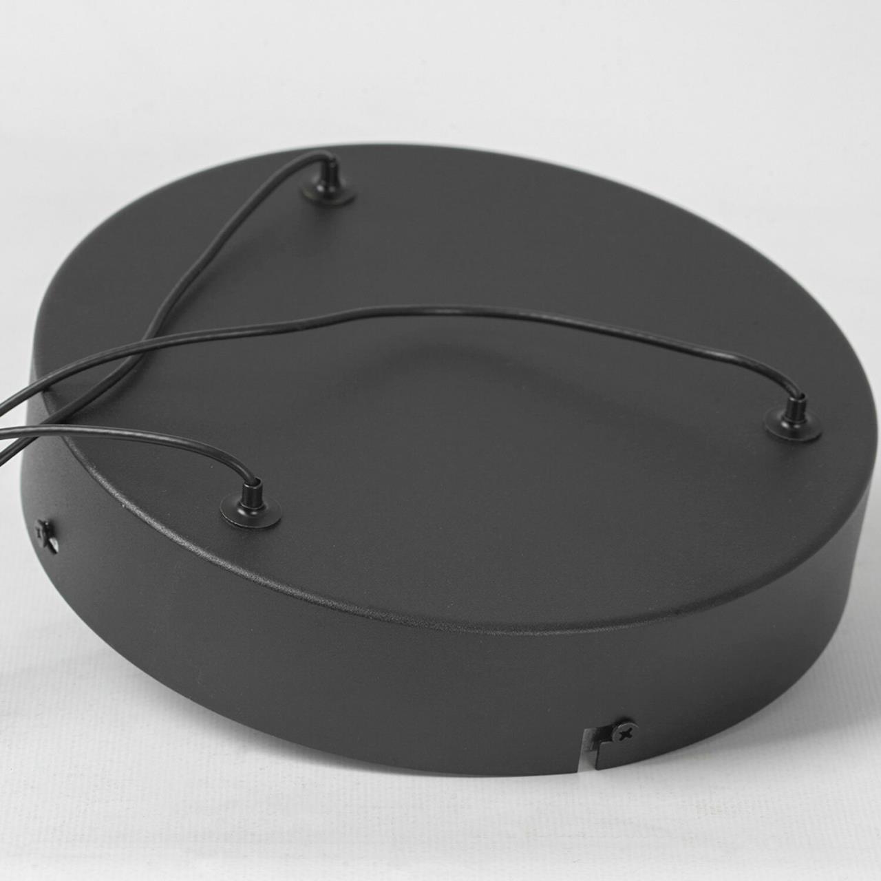 Дополнительная картинка Светильник подвесной Lussole LSP-7309