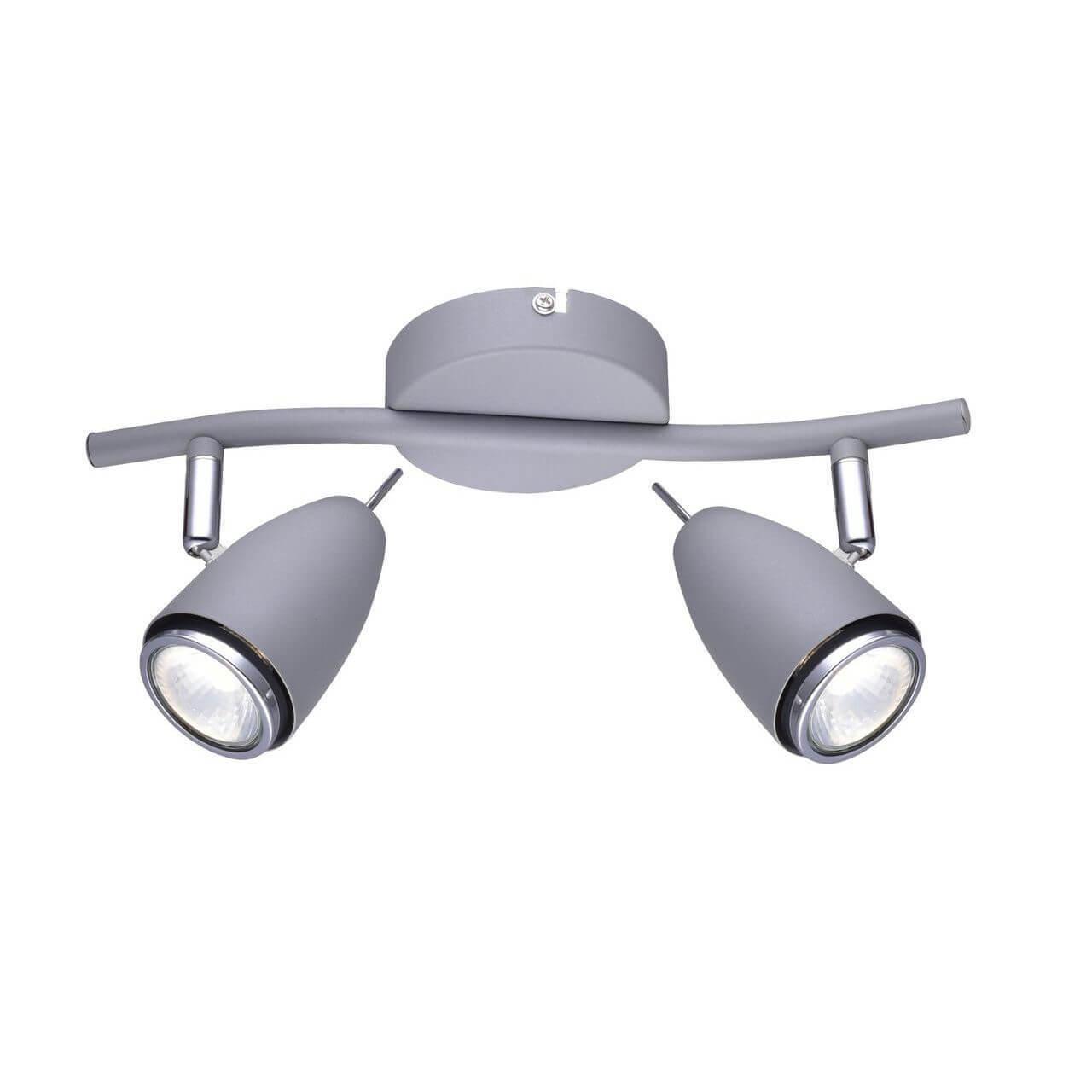 Дополнительная картинка Настенно-потолочный светильник Arte Lamp Regista A1966AP-2GY