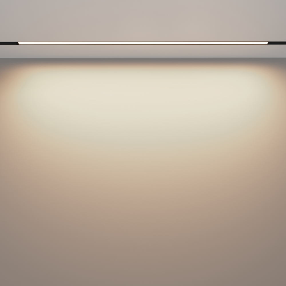 Дополнительная картинка Трековый светильник Technical TR030-2-30W3K-B