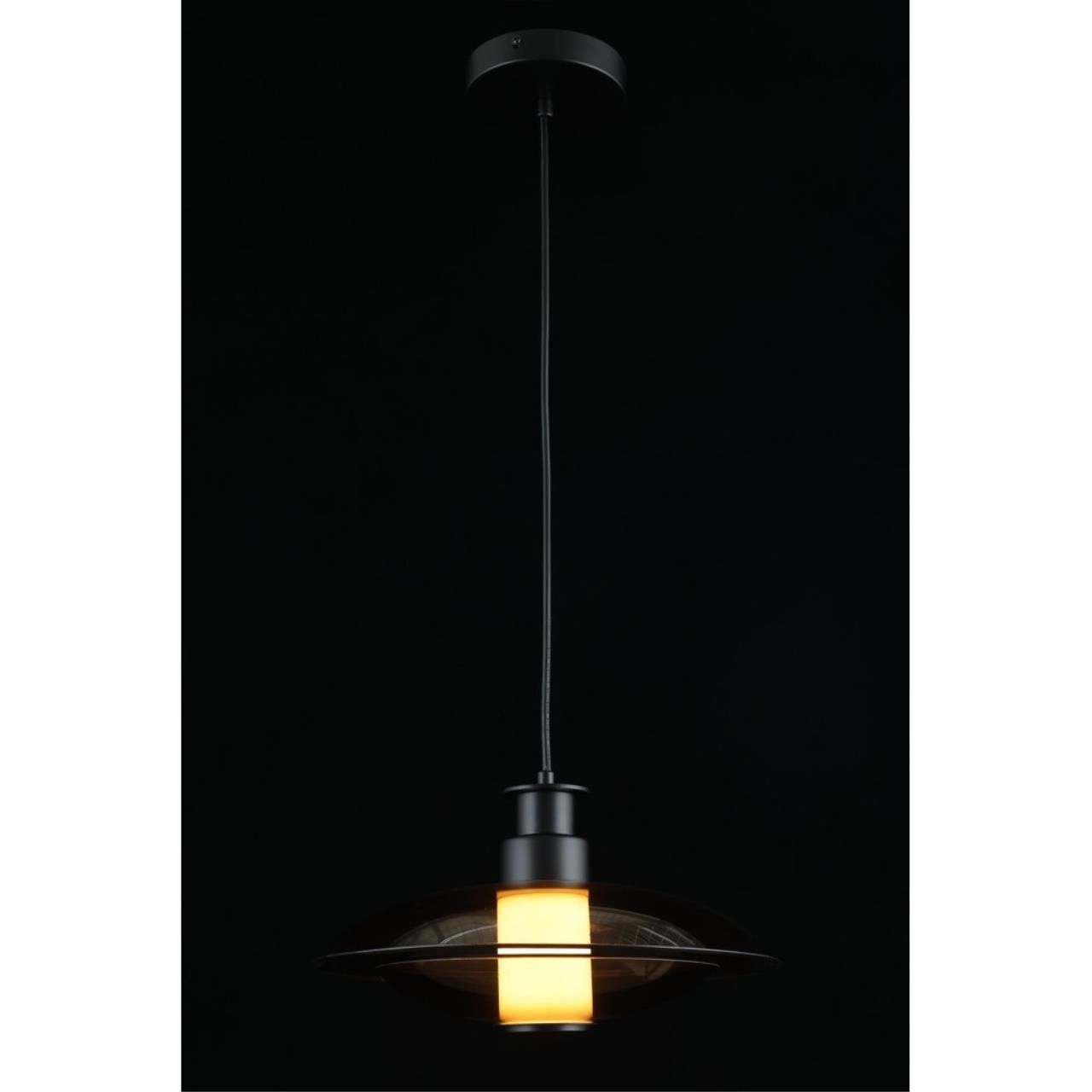 Картинка APL.648.16.10 Светильник подвесной Aployt Stefa