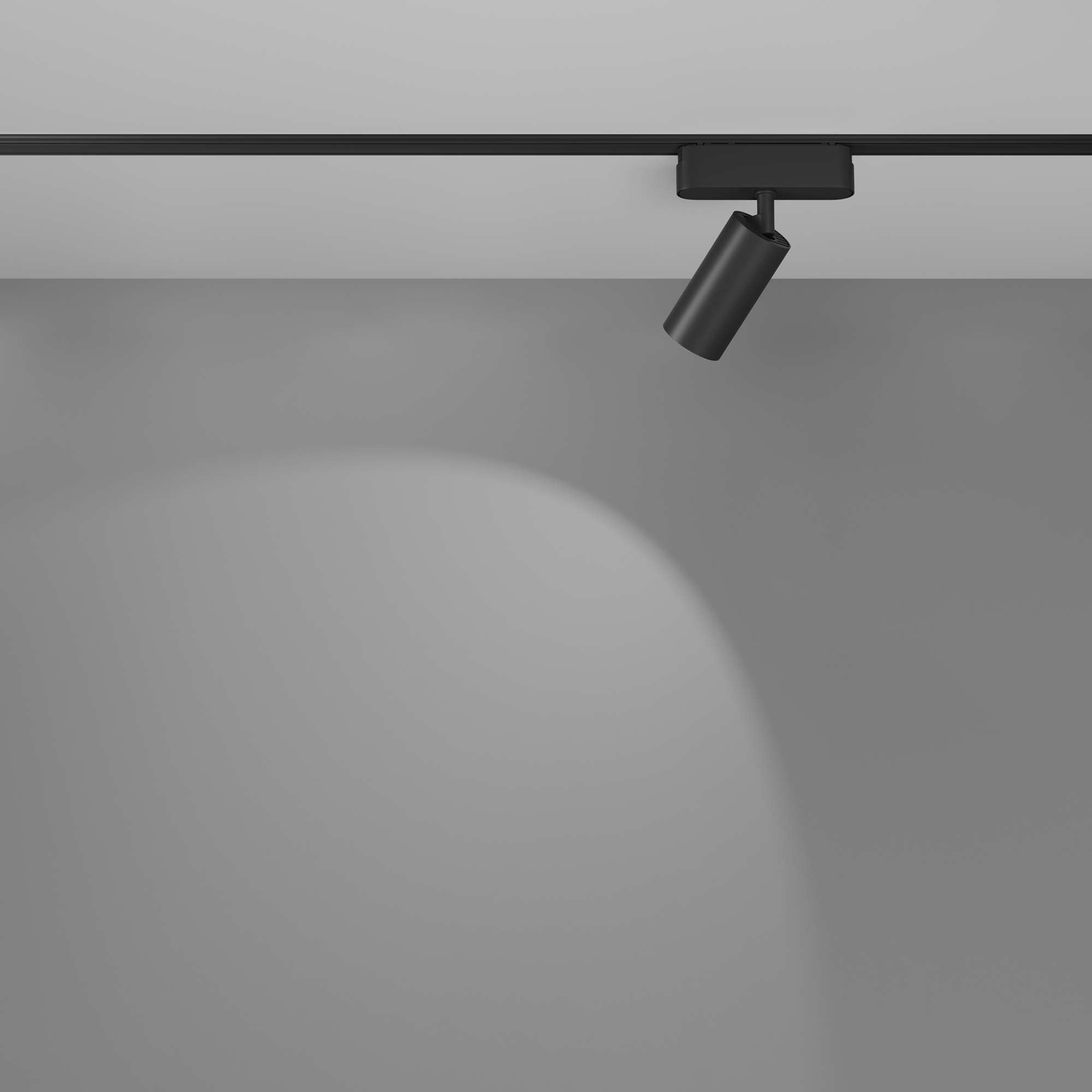 Картинка Трековый светильник Technical TR103-1-12W4K-M-B