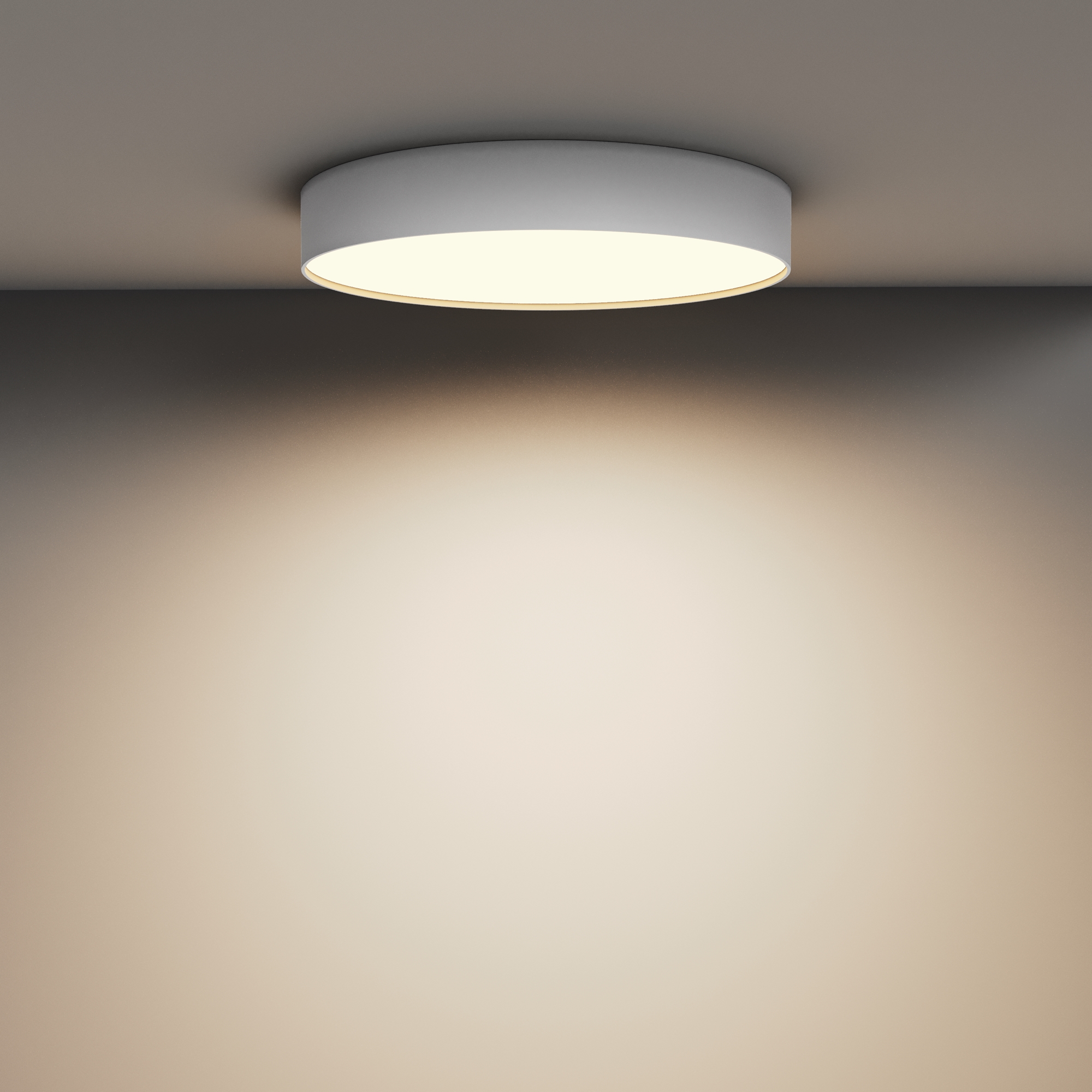 Дополнительная картинка Потолочный светильник Technical C032CL-45W3K-RD-W