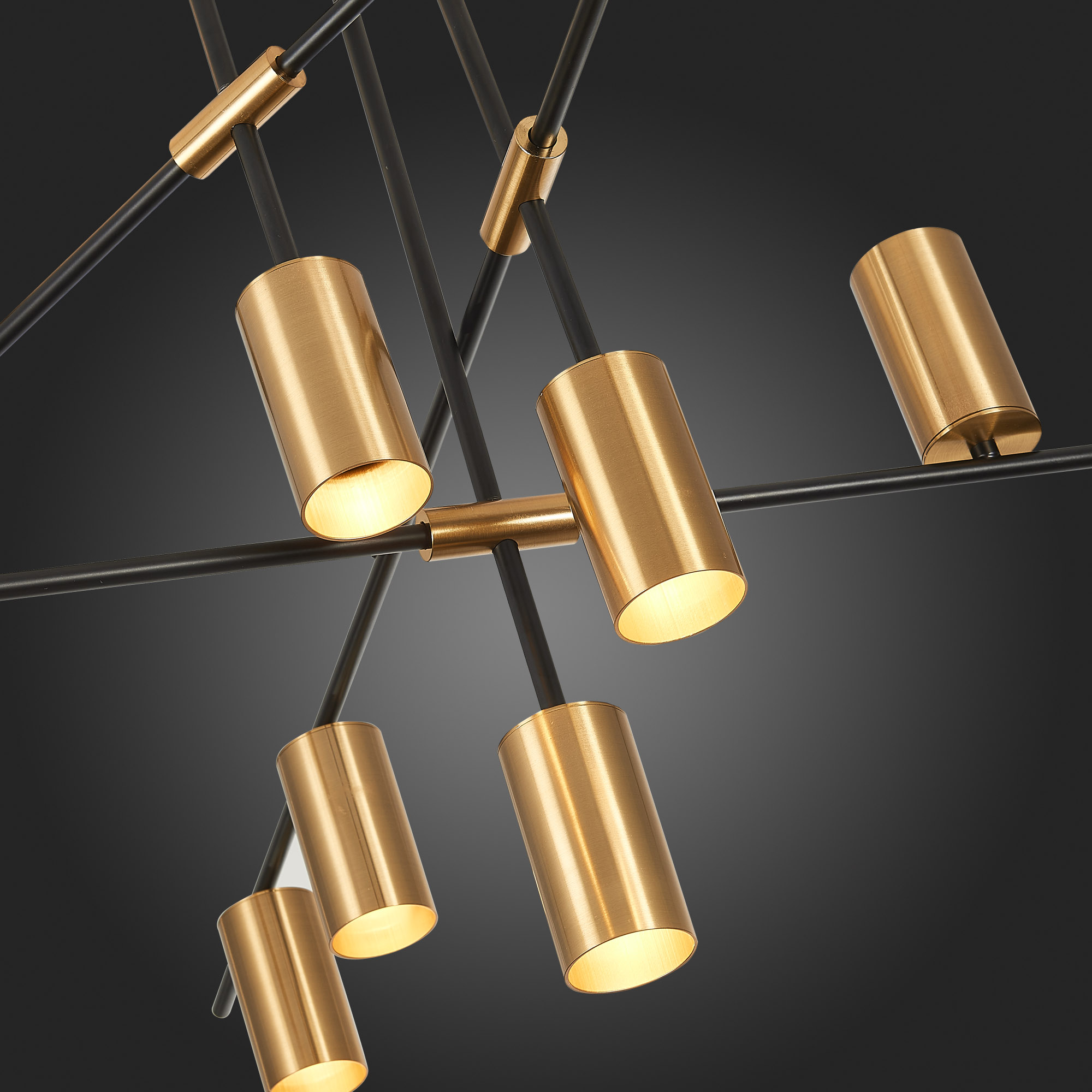 Картинка Подвесная люстра ST Luce Sormano SL1206.402.12