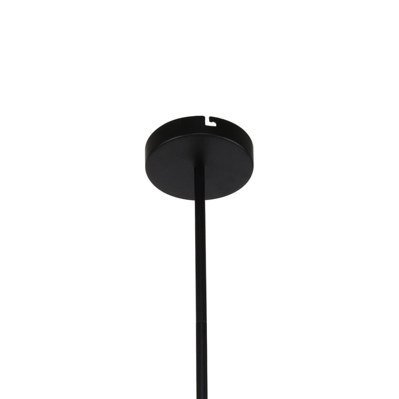 Дополнительная картинка Потолочная люстра Ducan 3094-8P