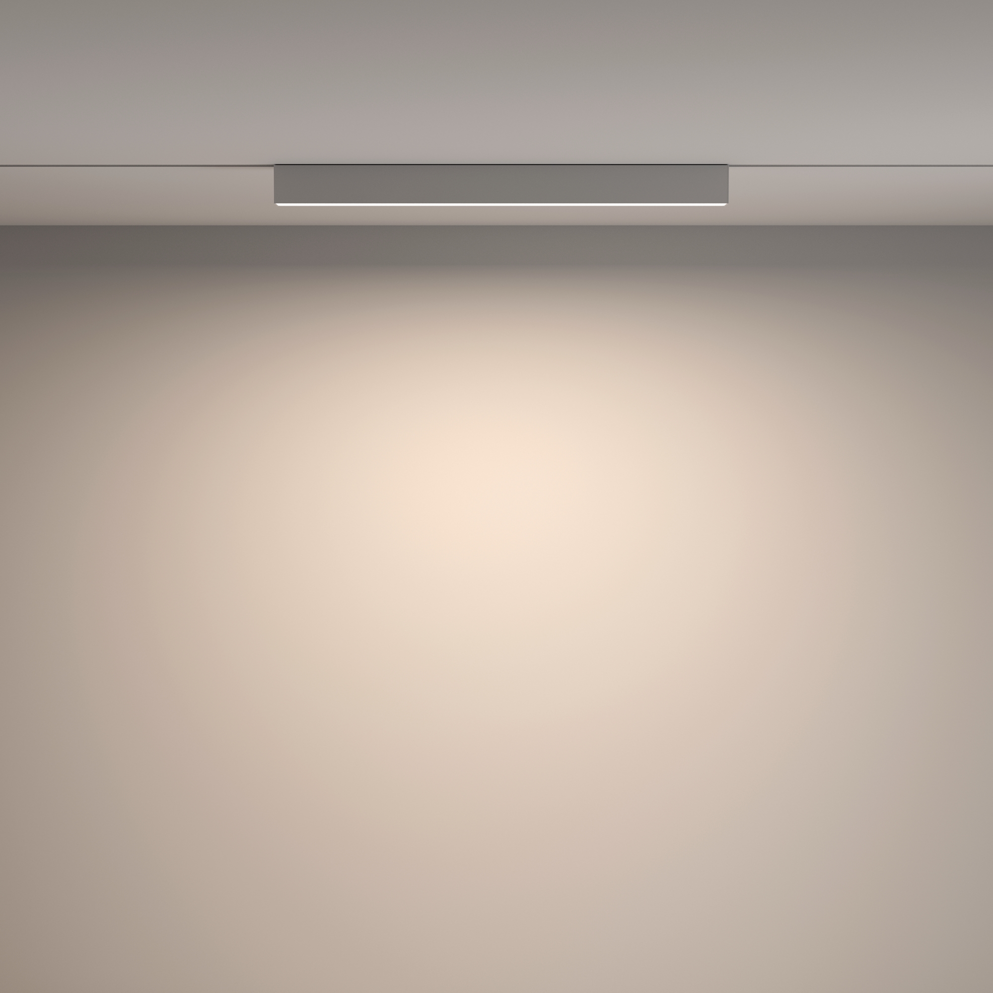 Дополнительная картинка Трековый светильник Technical TR012-2-20W3K-W