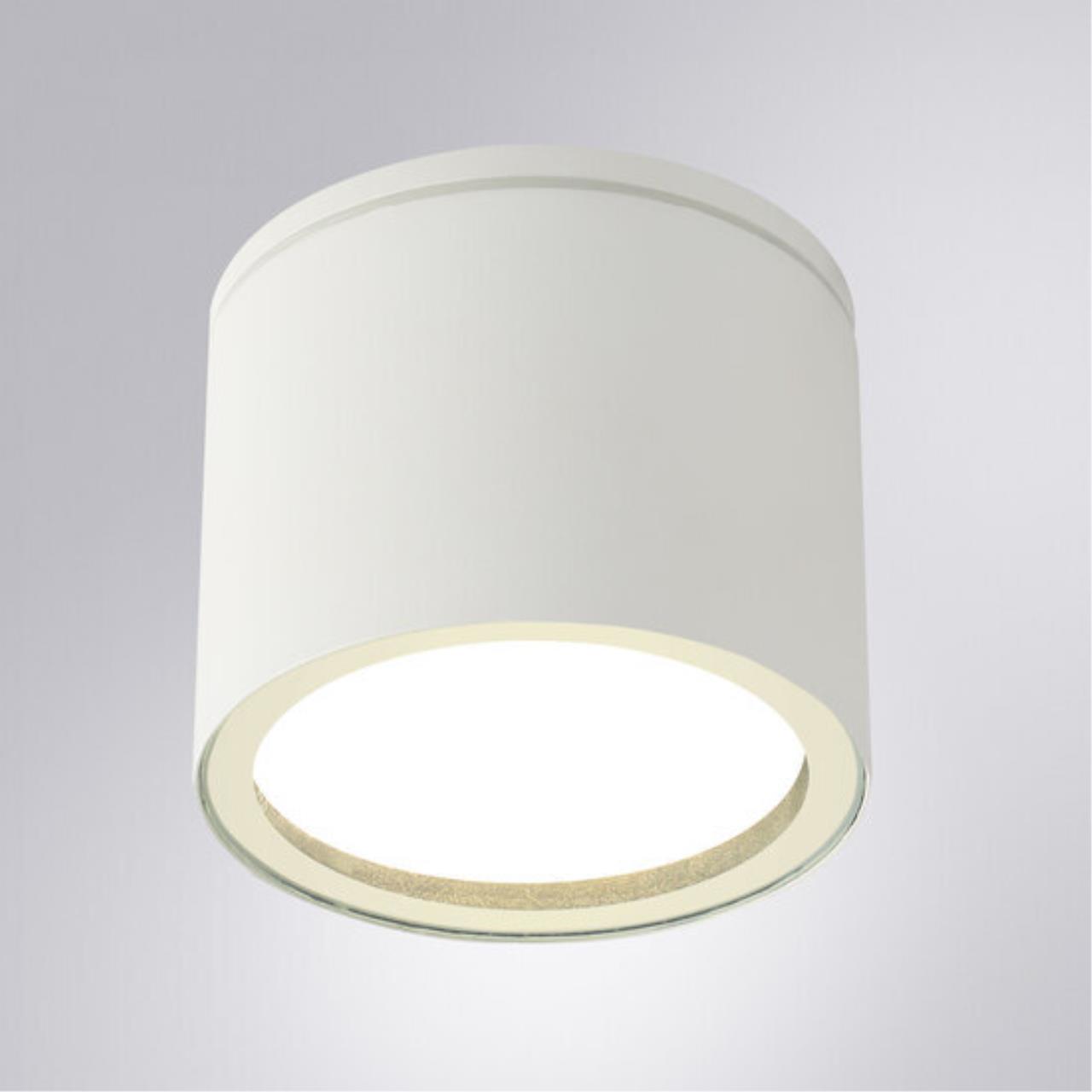 Картинка Уличный потолочный светильник Arte Lamp PIAUTOS A1913PF-1WH