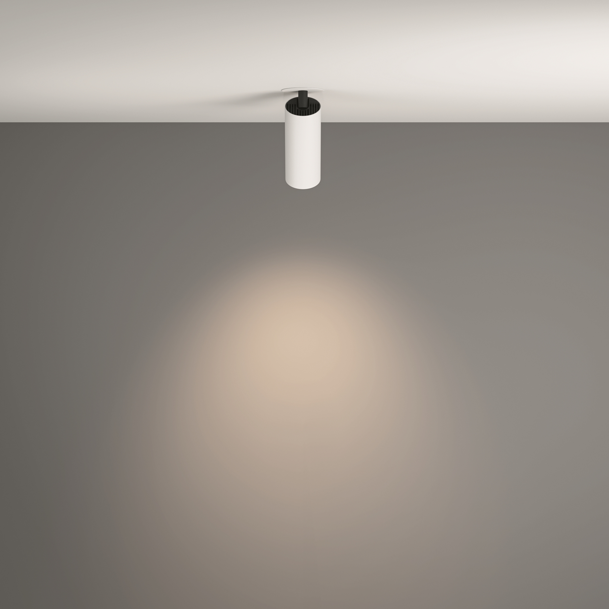 Дополнительная картинка Потолочный светильник Technical C053CL-L12W4K-W-W