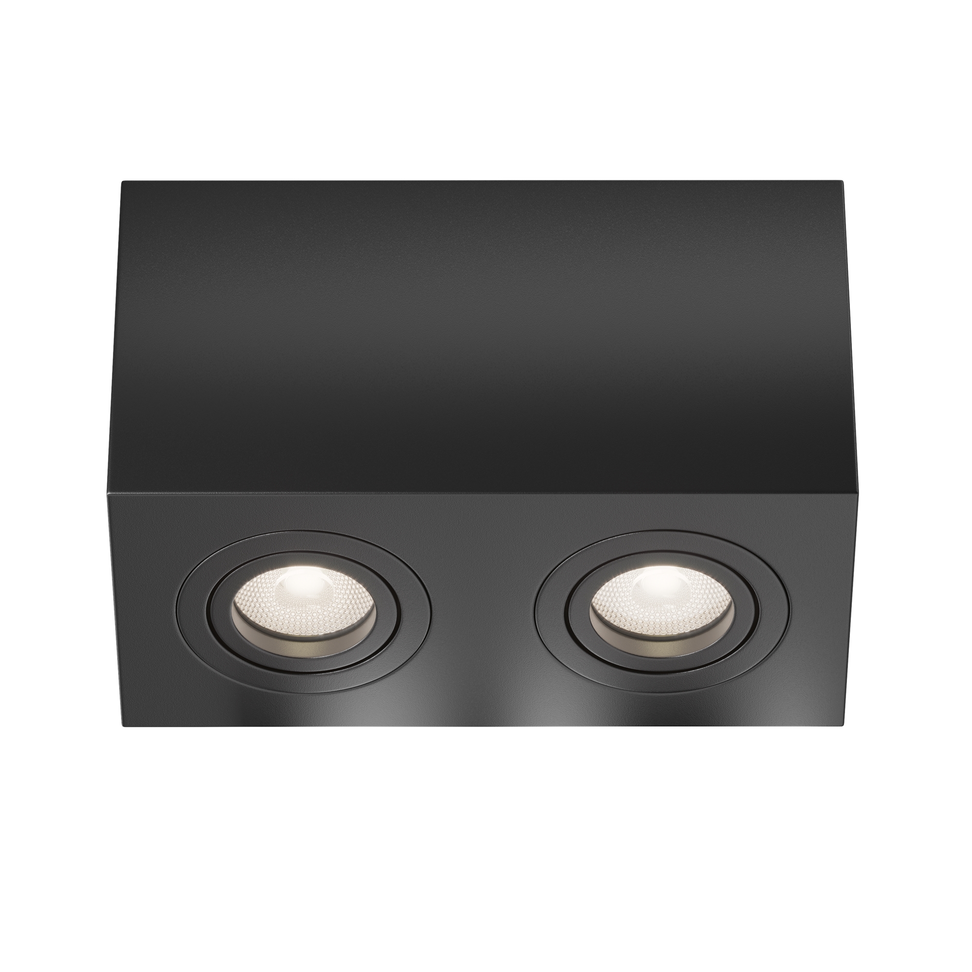 Картинка Потолочный светильник Technical C017CL-02B