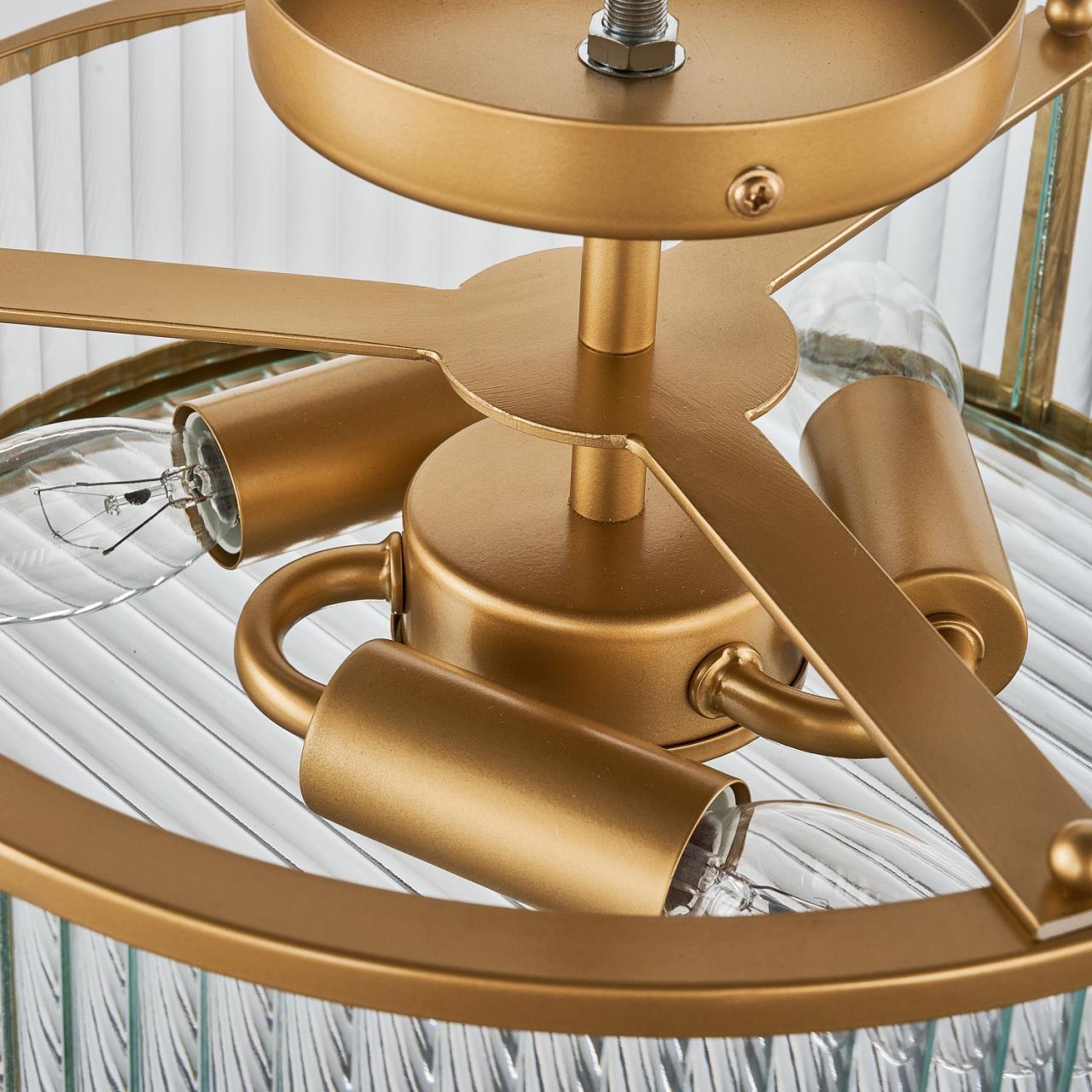 Дополнительная картинка Потолочная люстра Radiales 3099-3C