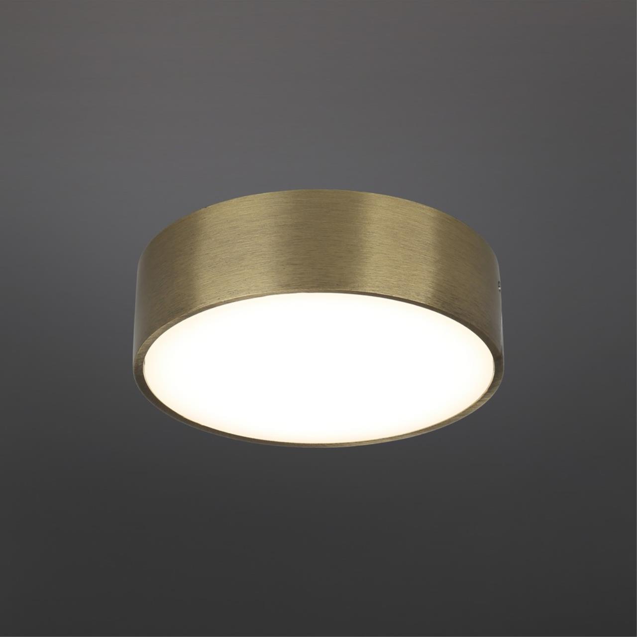 Картинка Потолочный светодиодный светильник Aployt Evon APL.0114.29.12