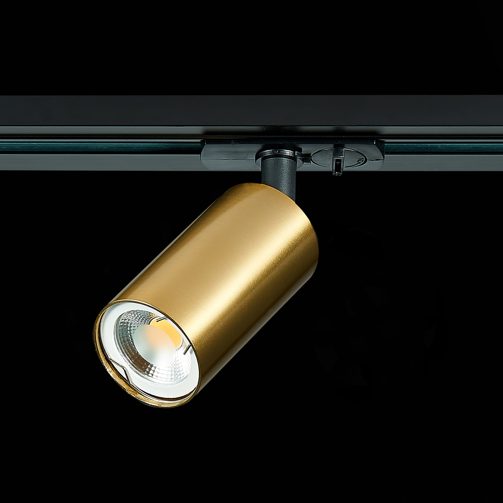 Картинка Трековый светильник ST Luce ST300.206.01
