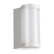 359299 STREET NT24 000 белый Светильник ландшафтный настенный IP65 LED 6W 4000K 180-265V OPAL