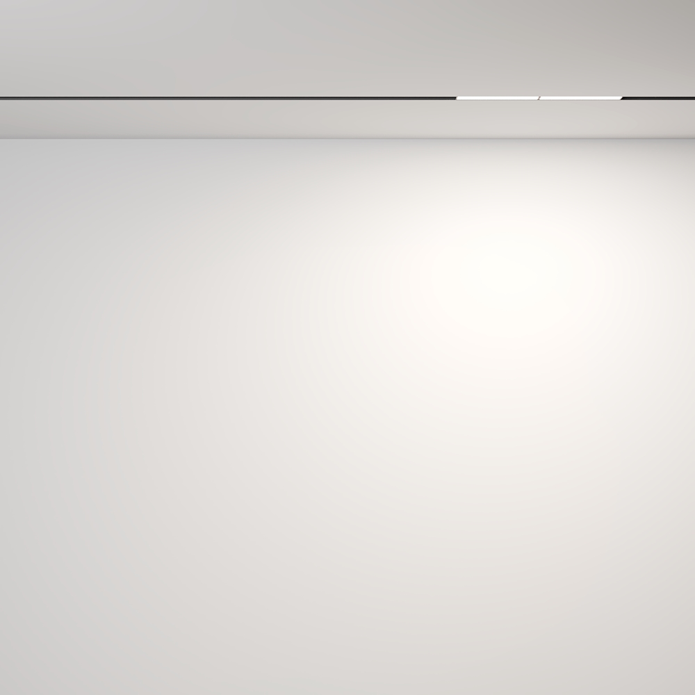 Дополнительная картинка Трековый светильник Technical TR106-2-12W4K-B