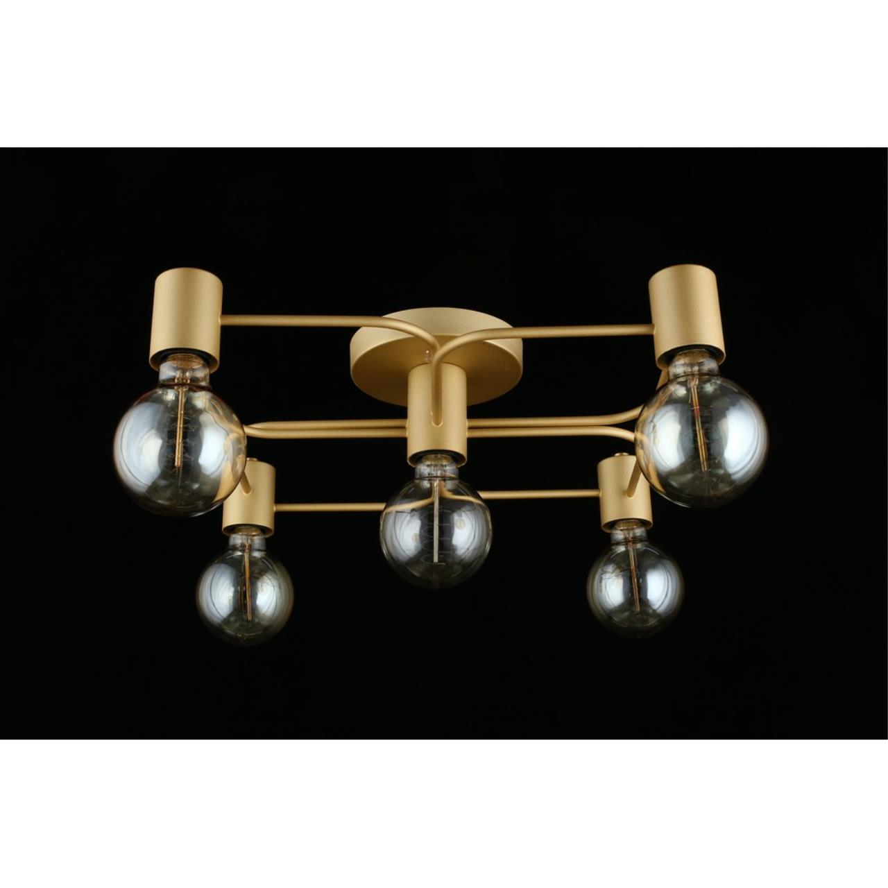 Картинка Потолочная люстра Aployt Elison APL.911.07.05