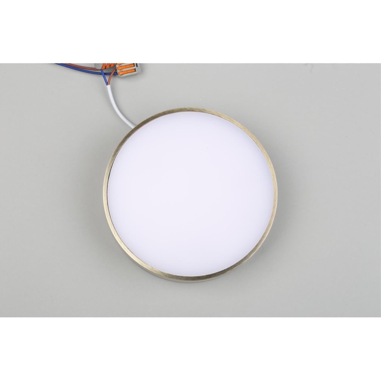 Картинка Потолочный светодиодный светильник Aployt Evon APL.0113.29.18