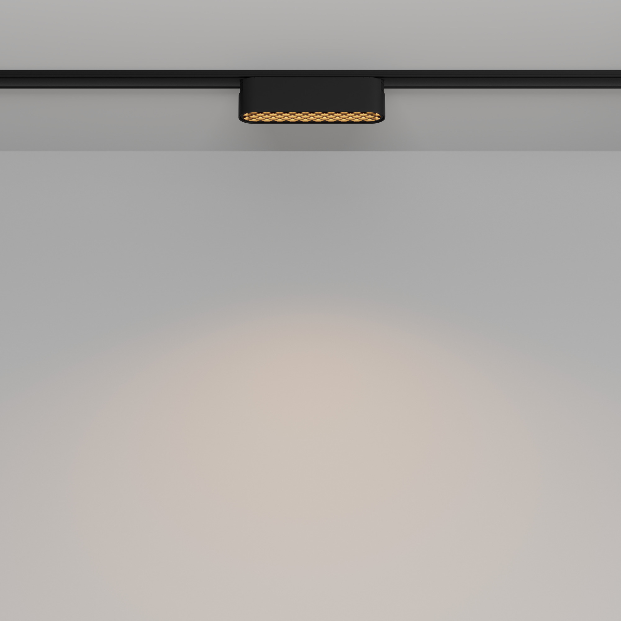 Дополнительная картинка Трековый светильник Technical TR084-1-6W3K-B