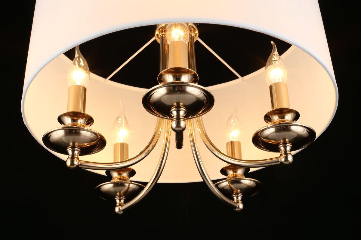 Картинка Подвесная люстра Aployt Berze APL.721.06.05