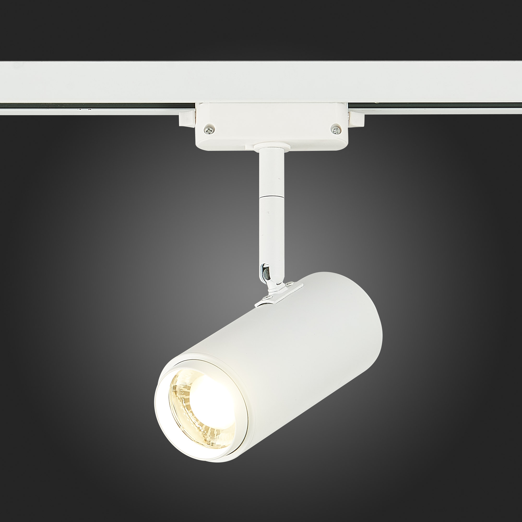 Картинка Трековый светодиодный светильник ST Luce Zoom ST600.546.12