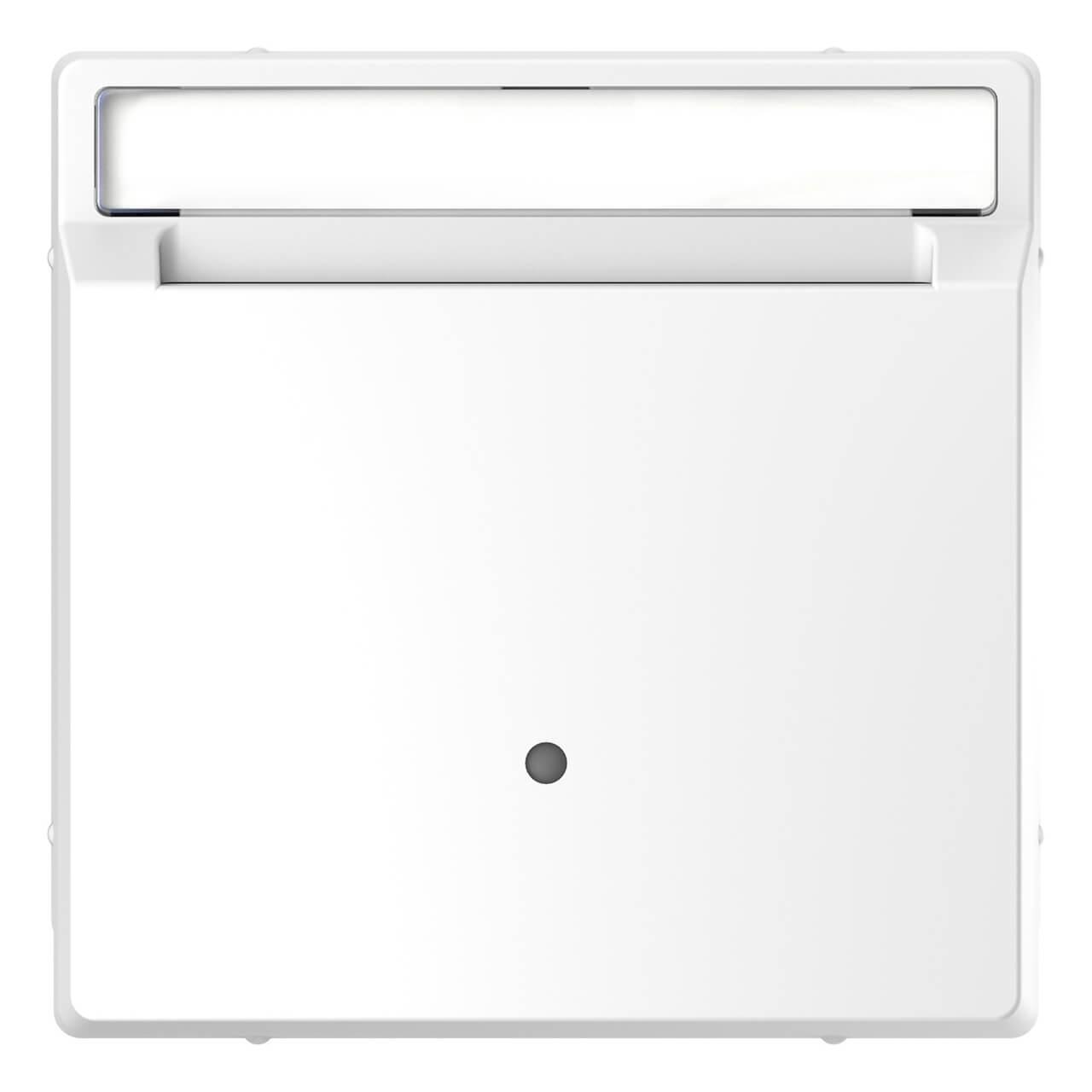 Выключатель карточный Schneider Electric Merten D-Life MTN3854-6035