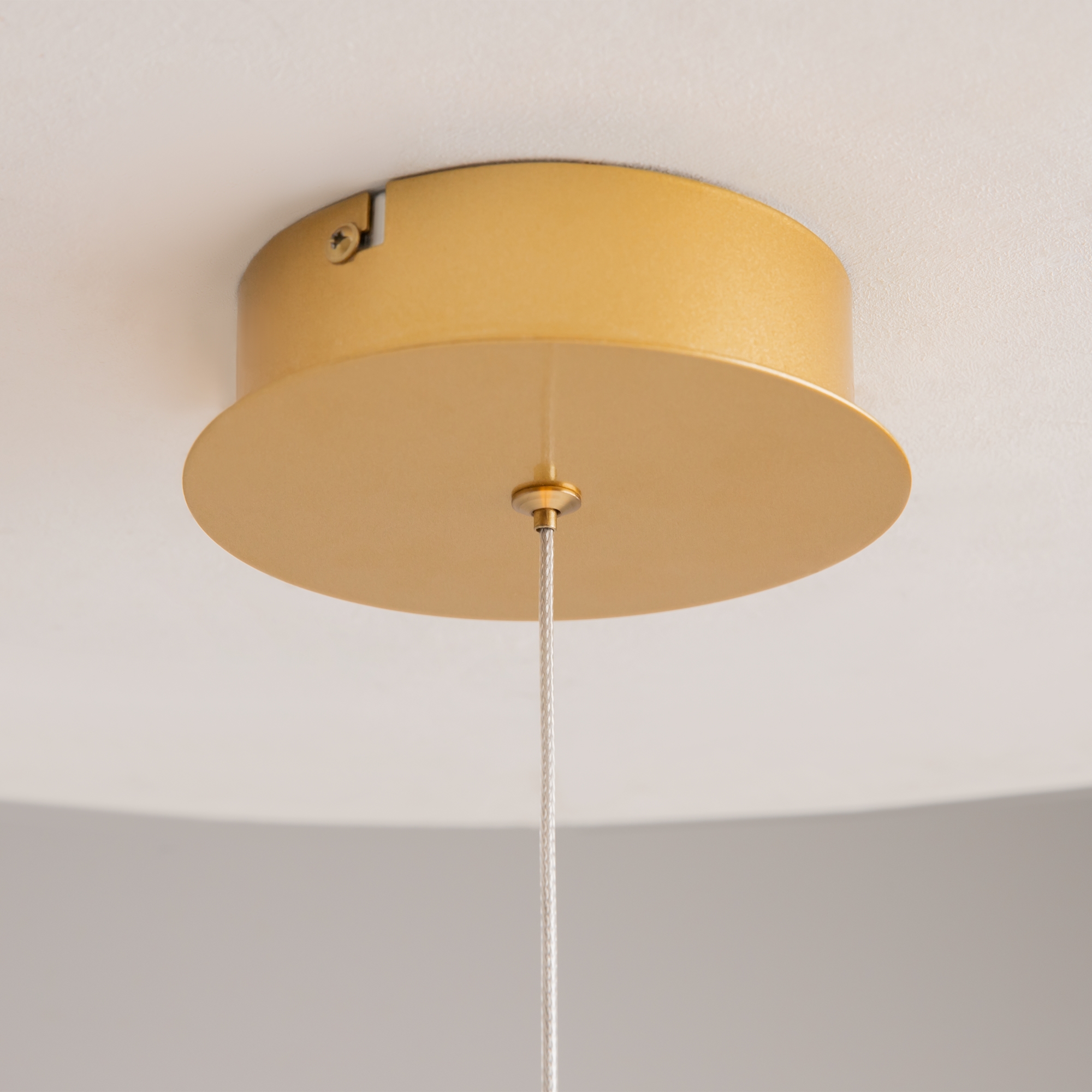 Дополнительная картинка Подвесной светильник Maytoni MOD345PL-L11BS3K