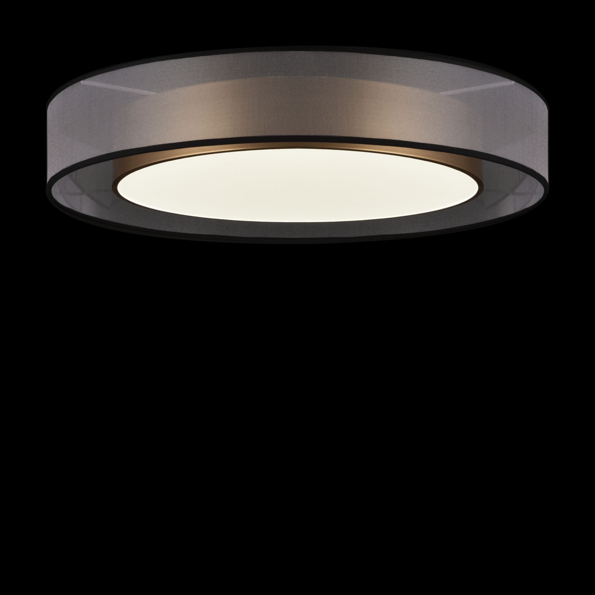 Дополнительная картинка Потолочный светильник Freya FR6005CL-L48G