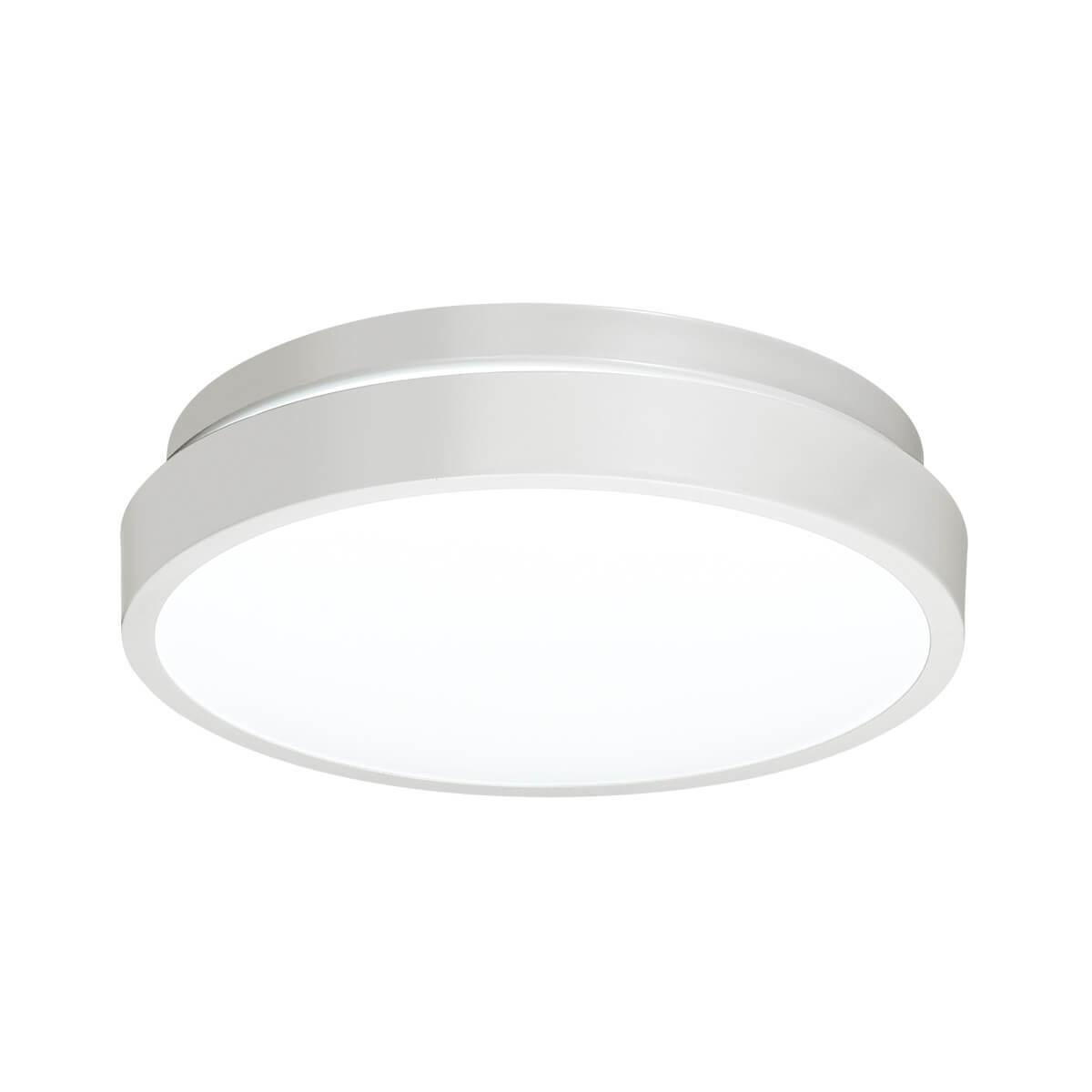 Картинка Настенно-потолочный светильник Sonex Mini Smalli 3014/AL