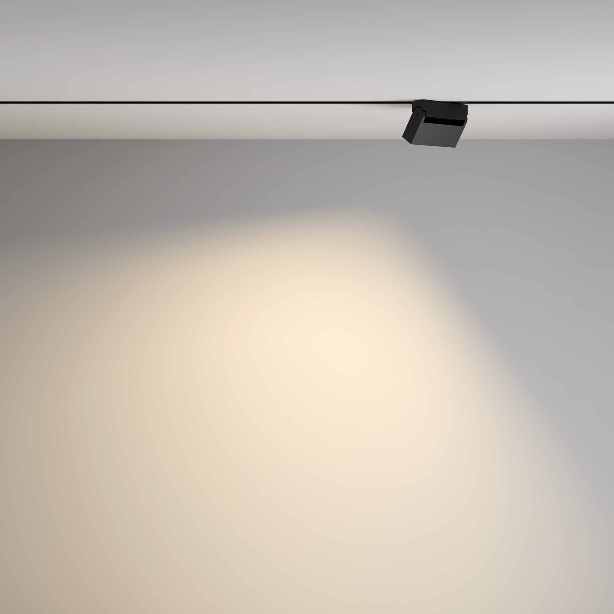 Дополнительная картинка Трековый светильник Technical TR077-2-10W3K-B