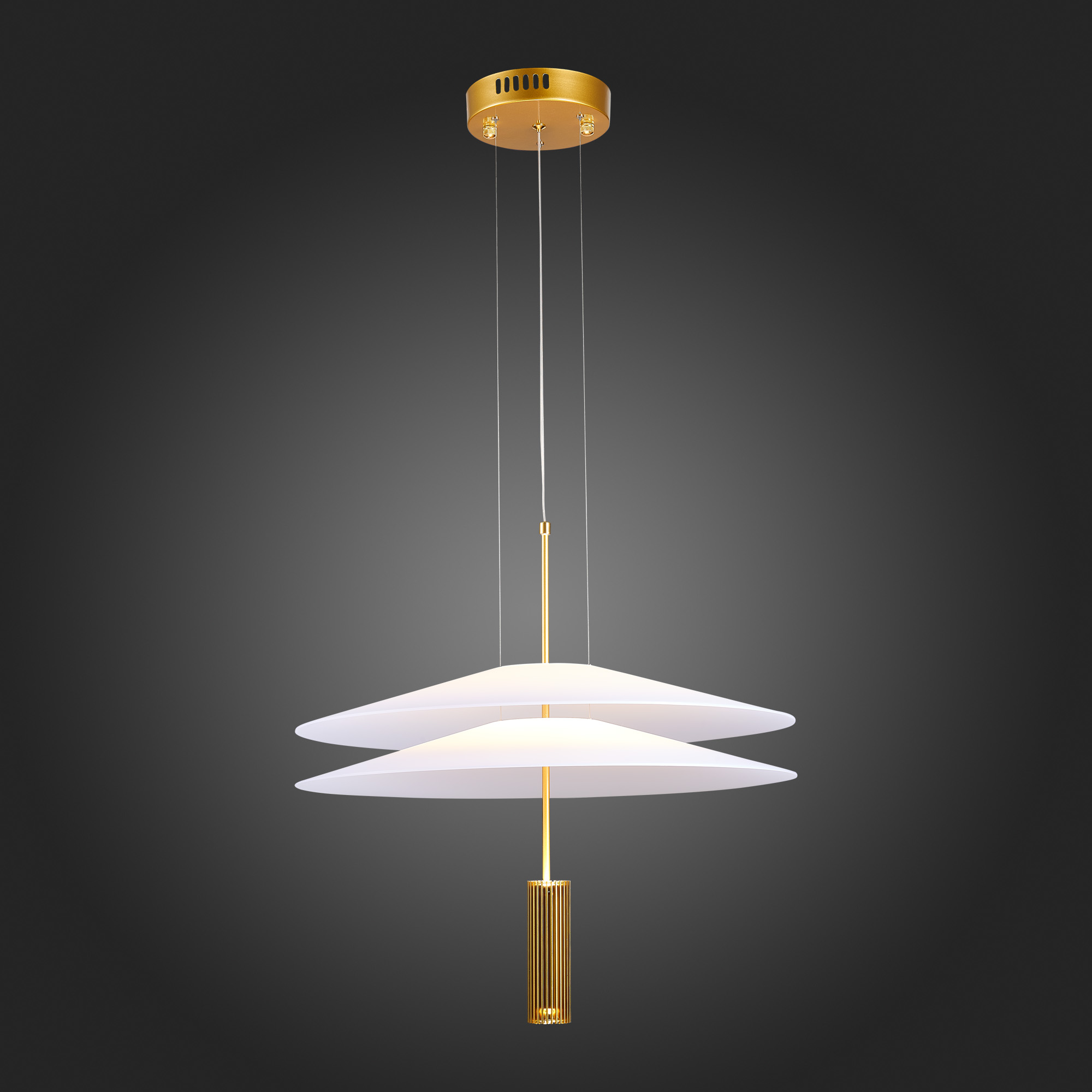 Картинка Подвесной светодиодный светильник ST Luce Isola SL6101.203.01