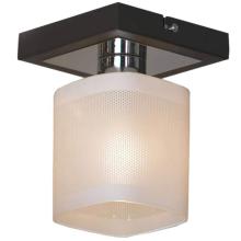 Потолочные Потолочный светильник Lussole Costanzo LSL-9007-01, доставка по Казахстану 