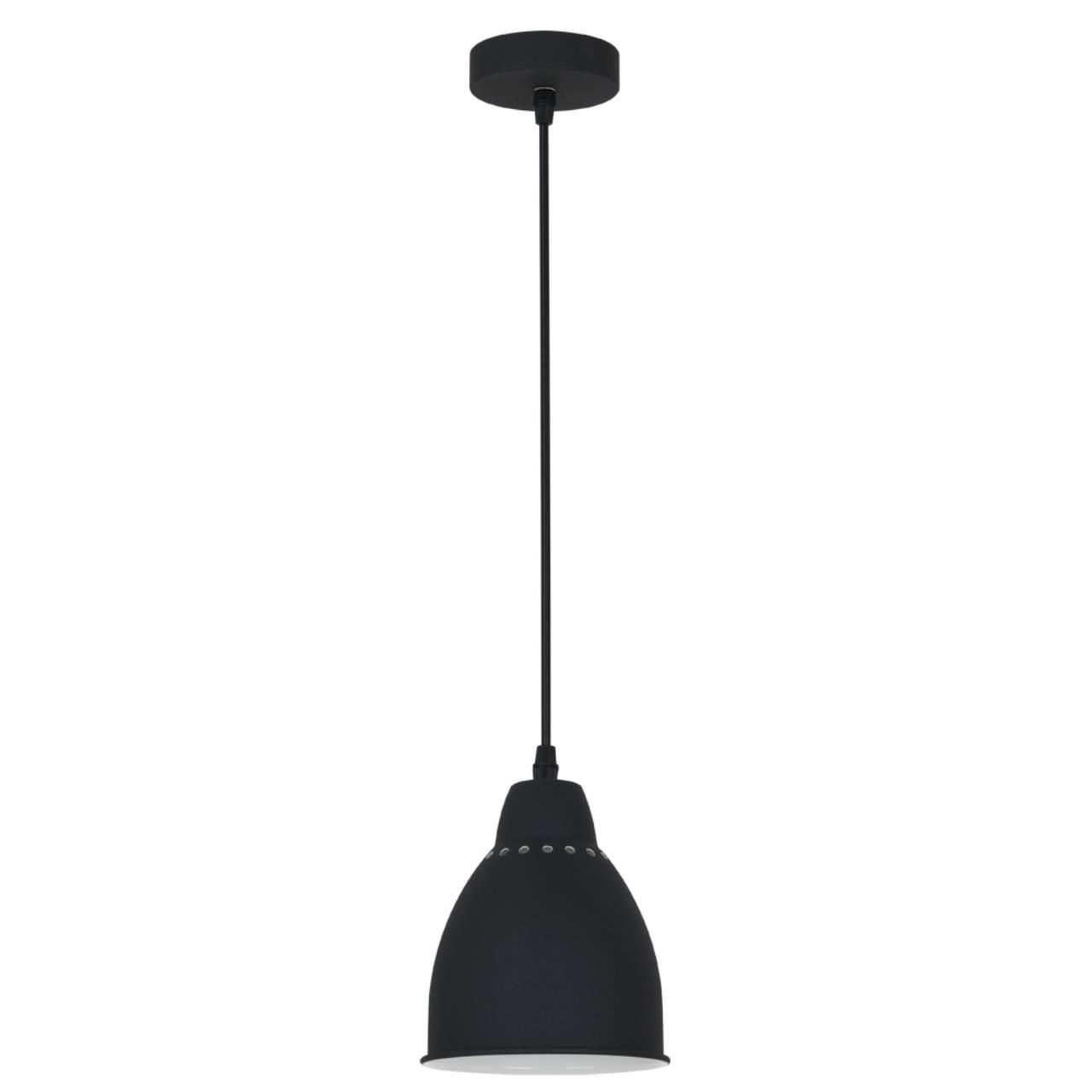 Картинка Подвесной светильник Arte Lamp Braccio A2054SP-1BK