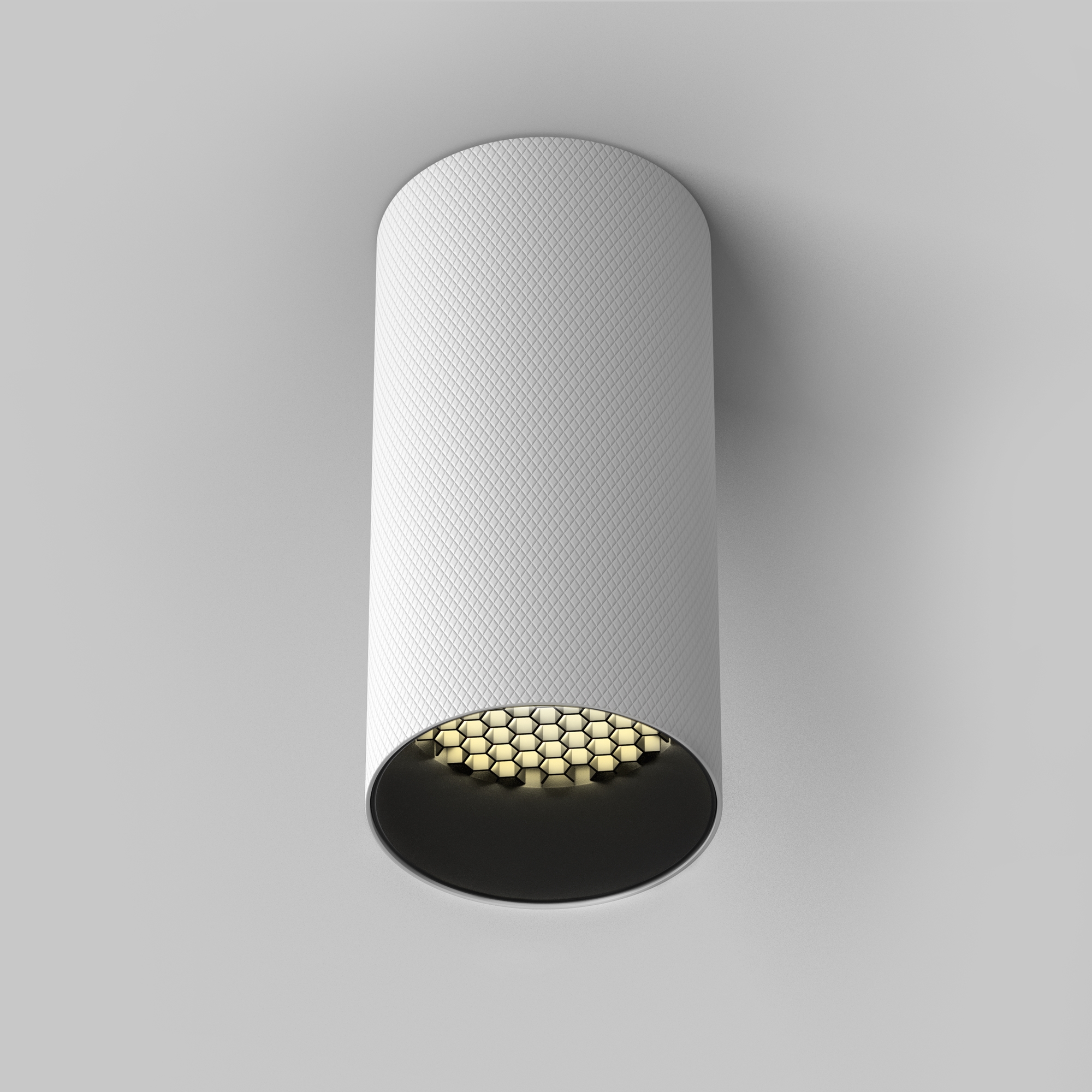 Дополнительная картинка Потолочный светильник Technical C080CL-01-GU10-W