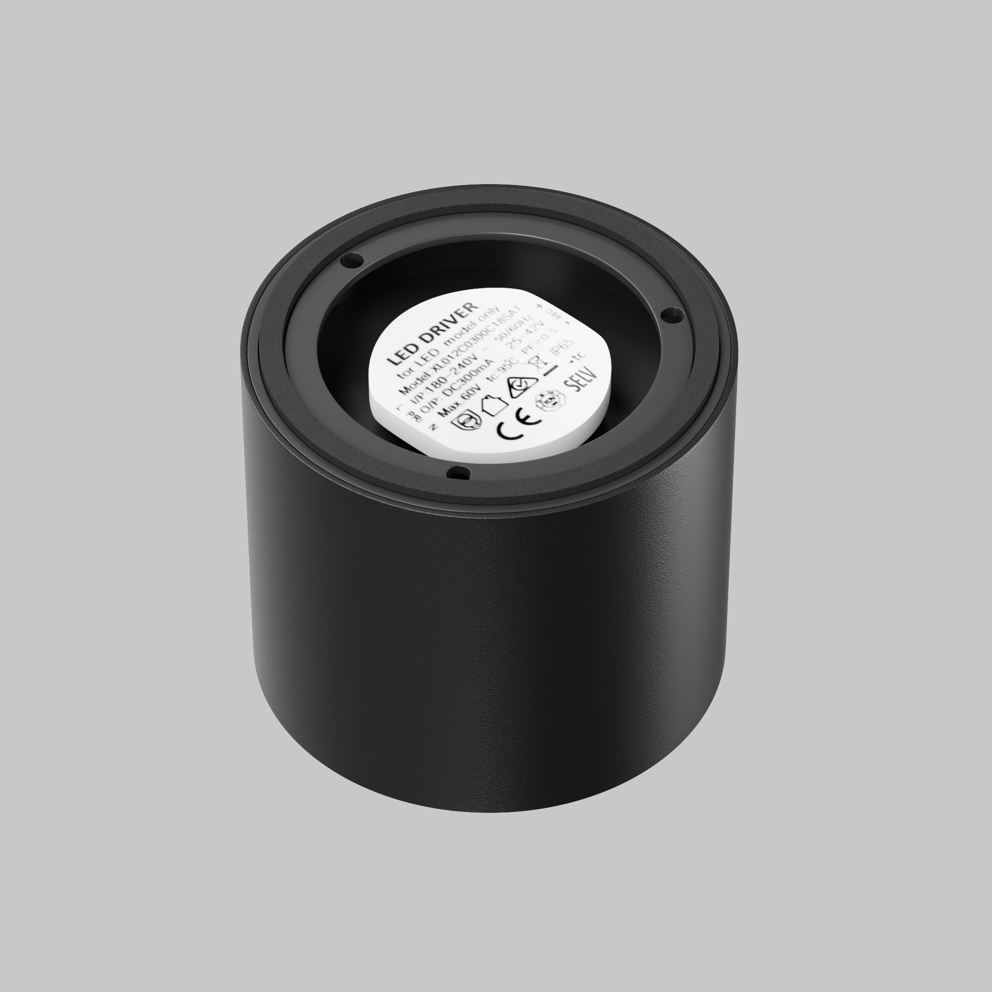 Дополнительная картинка Потолочный светильник Technical C217CL-15W4K-B