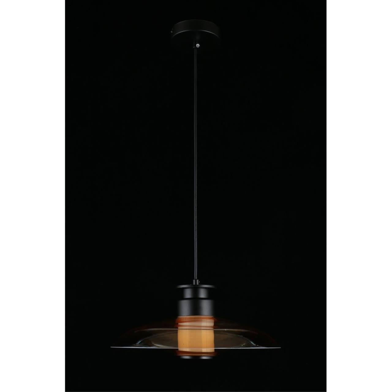 Картинка APL.648.16.10 Светильник подвесной Aployt Stefa