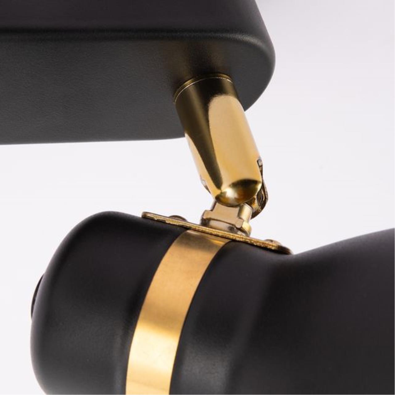 Дополнительная картинка Потолочный светильник Arte Lamp FAFNIR A5047PL-2BK