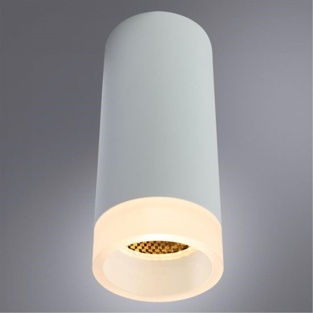 Дополнительная картинка Потолочный светильник Arte Lamp Ogma A5556PL-1WH