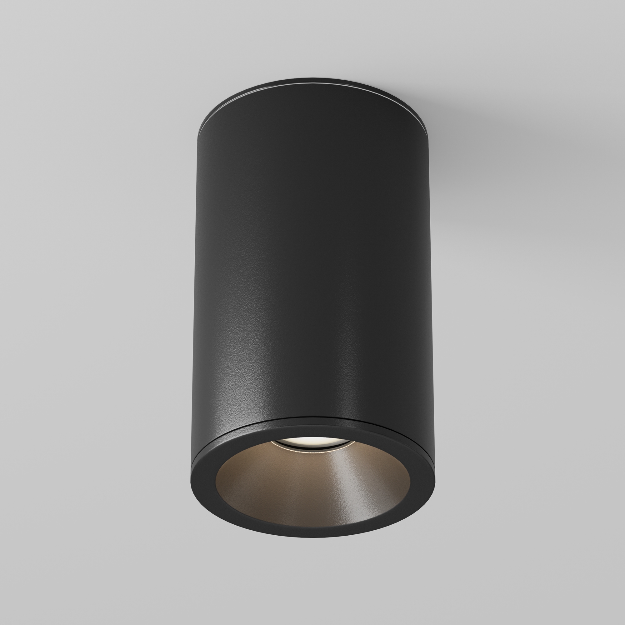 Картинка Потолочный светильник Technical C029CL-01-S-B