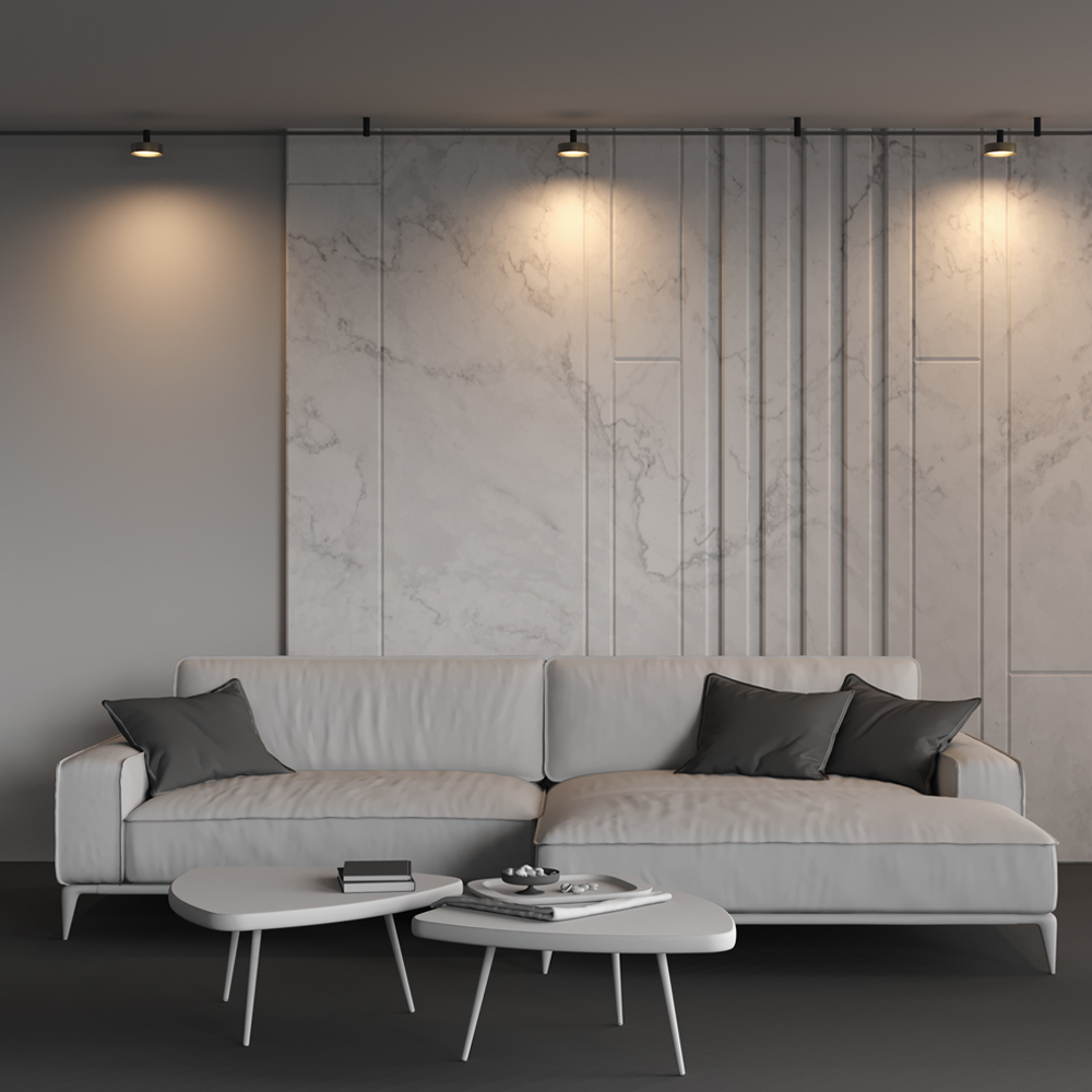 Дополнительная картинка Трековый светильник Technical TR204-1-12W3K-BBS