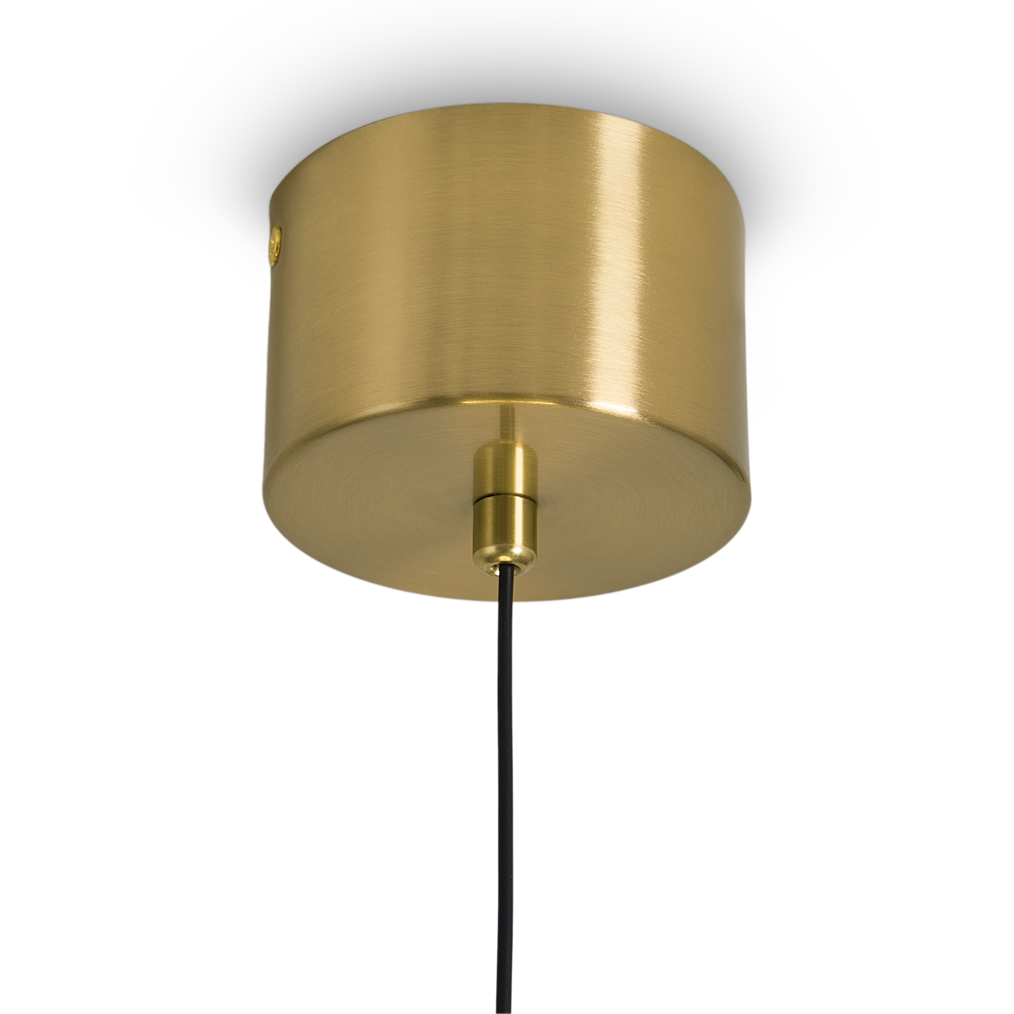 Дополнительная картинка Подвесной светильник Freya FR6184PL-L8BS