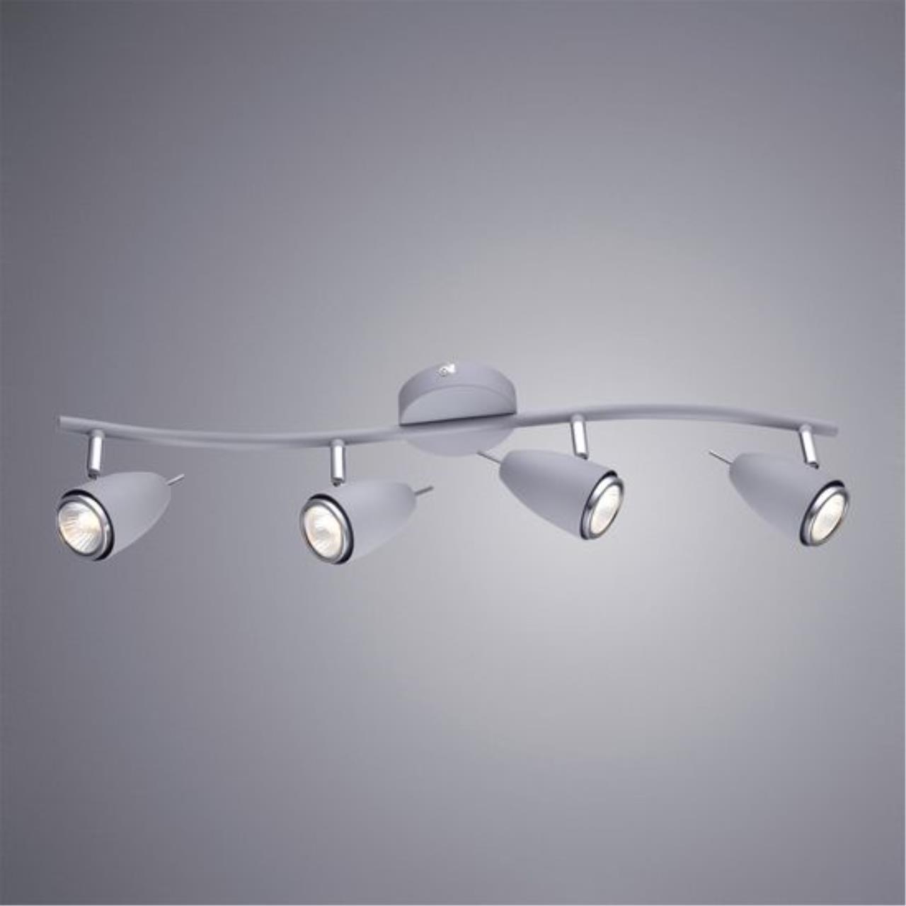 Дополнительная картинка Настенно-потолочный светильник Arte Lamp Regista A1966PL-4GY